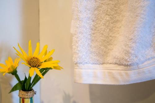 Hostal Pousada Mangabeiras