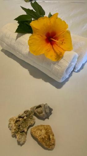 Hostal Pousada Sossego