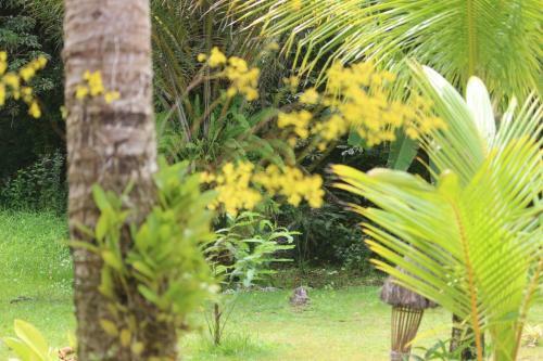 Hostal Pousada Quartinho De Praia