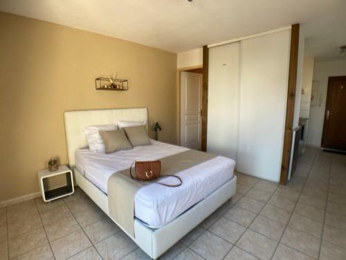 Apartamento Studio Climatis� Et Grande Terrasse Tarbes Centre