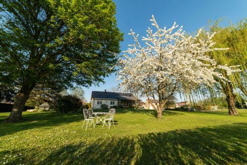 Bed & Breakfast La Planche Pin�on