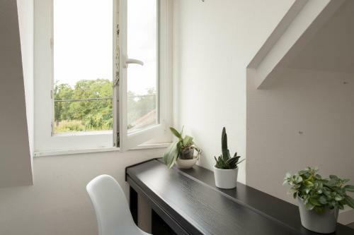 La Maison Du Bonheur