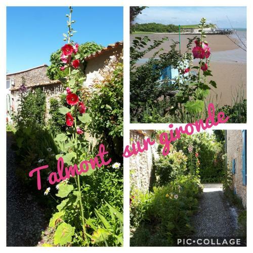 G�te " Les Tourterelles"