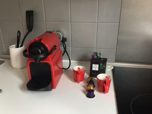 Apartamento Grand Studio - Strasbourg