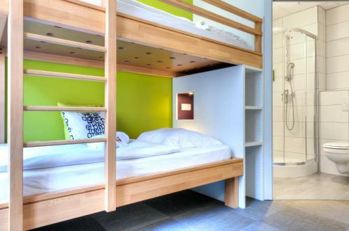 Albergue Ciarus