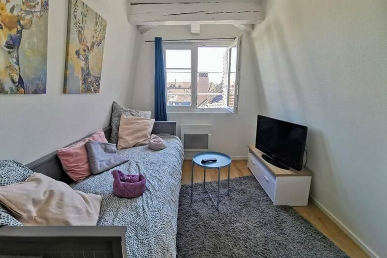 Apartamento ** Appartement Cath�drale Strasbourg Centre**