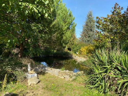 La Charmeraie : G�te de Charme, Piscine Et Spa