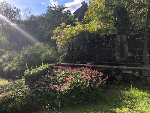Bed & Breakfast Le Figarelou