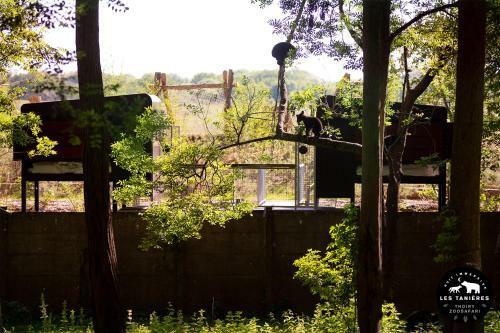 Lodge Les Tani�res Du Zoosafari de Thoiry
