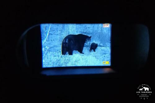 Lodge Les Tani�res Du Zoosafari de Thoiry