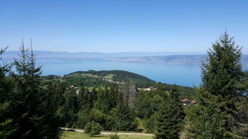 Apartamento Le Telemark