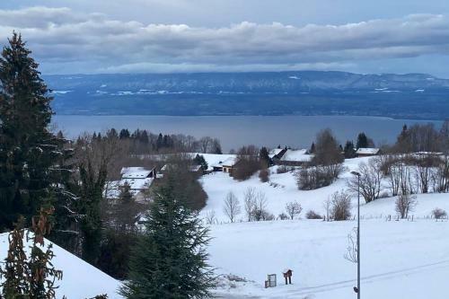 Apartamento Duplex En Station Vue Sur Lac Leman