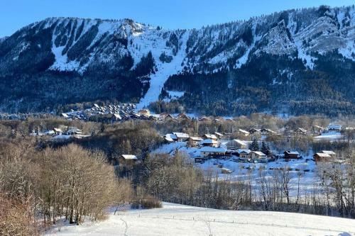Apartamento Duplex En Station Vue Sur Lac Leman