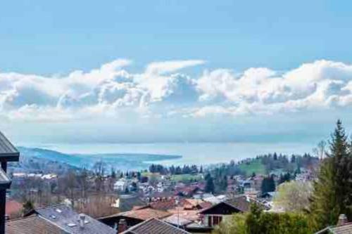 Apartamento Duplex En Station Vue Sur Lac Leman