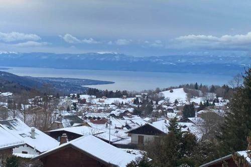 Apartamento Duplex En Station Vue Sur Lac Leman