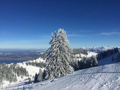 Le Montanet