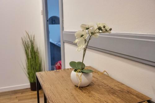 Apartamento ? Les Logis de La Tr�moille ? Cozy ? Netflix ?