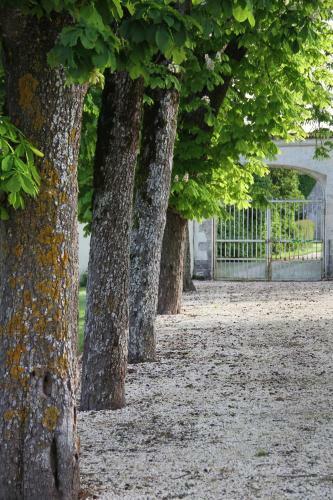 The Chateau At Petit Champagne