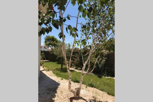 Apartamento Cocooning