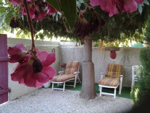Le Patio De Torreilles-plage