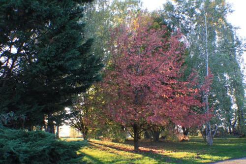 Gite La Luciole