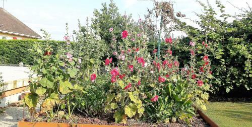 3 Chambres Priv�es Dans Un Jardin D'hiver