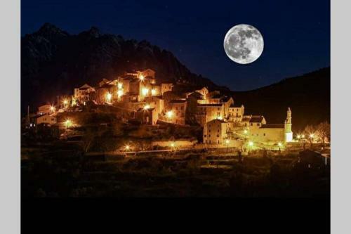E Scuace