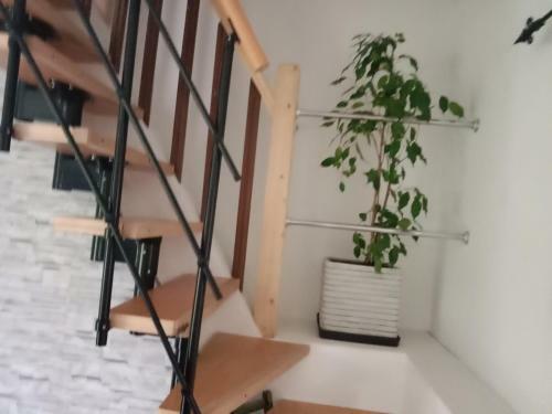 Gite Au Calme Centre Finist�re Jardin Clos