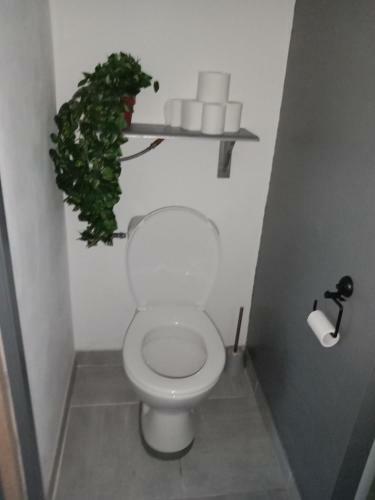 Gite Au Calme Centre Finist�re Jardin Clos