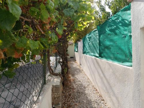 Apartamento Andr�