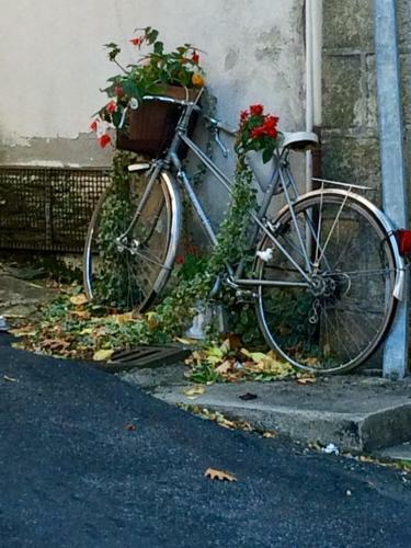 Bed & Breakfast Maison Billot