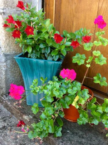 Bed & Breakfast Maison Billot