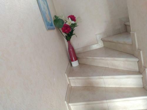 Hostal Paradis