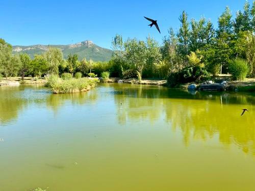 Villa Propri�t� Exceptionnelle � 25km D?aix En Provence - 8 Guests