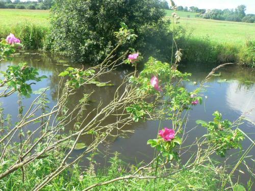 Gite De L'aure