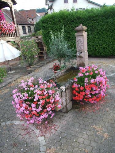 Chambre D'h�tes "au Vigneron"
