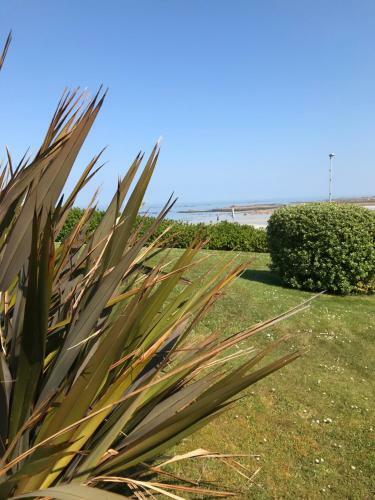 Apartamento Rez de Jardin Piscine Et Plage