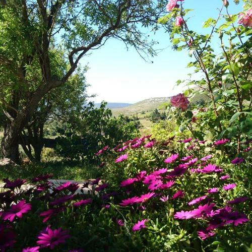 Bed & Breakfast G�te Saint Roch