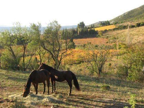 Bed & Breakfast G�te Saint Roch