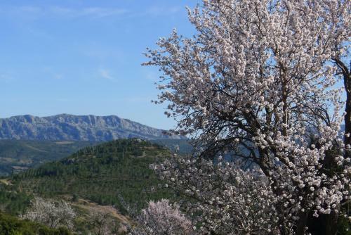 Bed & Breakfast G�te Saint Roch