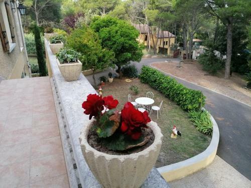 Apartamento G�te Dans Villa Proven�ale Sous Les Pins