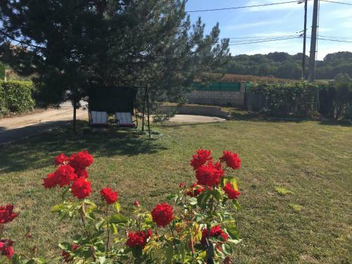Jardin De Campagne