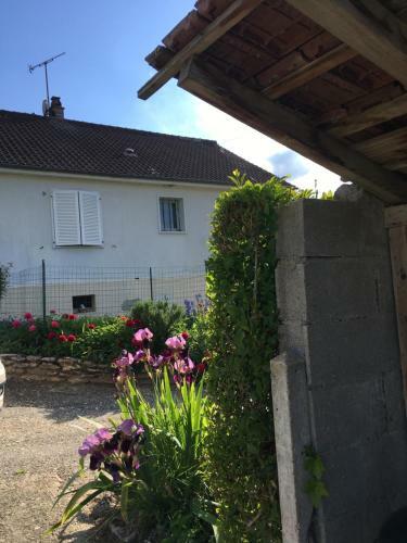 Jardin De Campagne