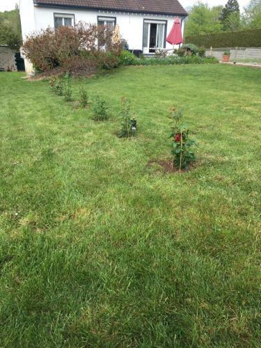 Jardin De Campagne
