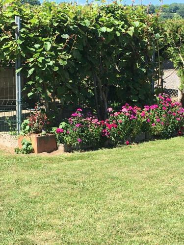 Jardin De Campagne