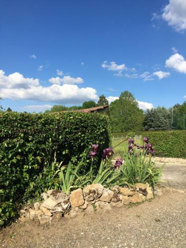 Jardin De Campagne