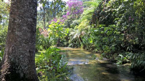 Hostal Pousada S�tio Das Astrap�ias