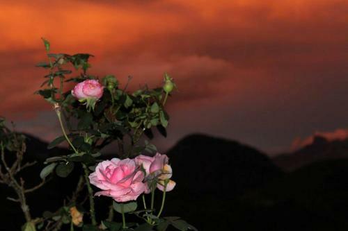 Hostal Pousada N� Da Madeira