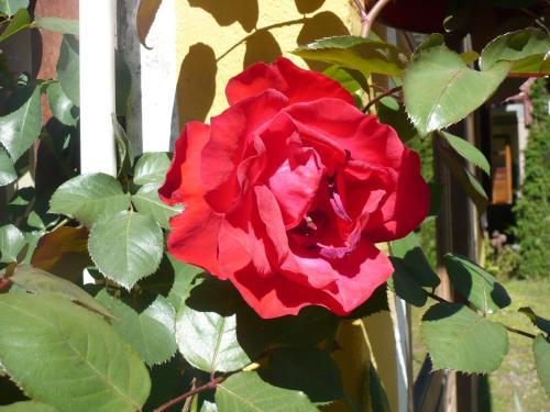 Hostal Pousada Vale Da Represa