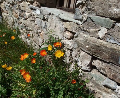Hostal Chalet Le Cordava